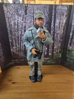 Ex Display 1/6th figures