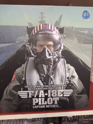 DiD F/A18E Pilot Captain Mitchell